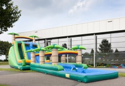 wholesale Jungle waterslide with pool suppliers