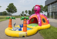 wholesale Inflatable Seaworld Octopus Playzone suppliers