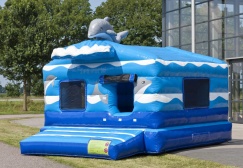 wholesale Seaworld inflatable Moonwalk Ball Pit suppliers