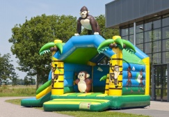 wholesale Jungle Fun Bouncy Combo suppliers
