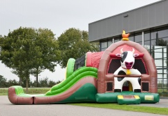 wholesale Large Farm Inflatable Bounce Castle Combo suppliers