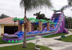 wholesale Purple Paradise Inflatable Water Slide suppliers