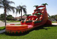 wholesale South of the Border Water Slide suppliers