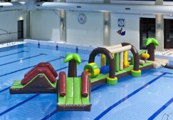 wholesale Jungle Inflatable Water Floating Game suppliers