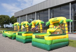 wholesale Inflatable Jungle Carnival Games suppliers