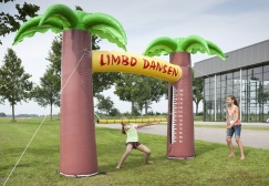 wholesale Inflatable Limbo Dancing Game suppliers