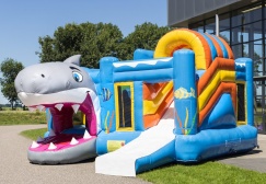 wholesale Inflatable Multiplay Shark Combo With Slide suppliers